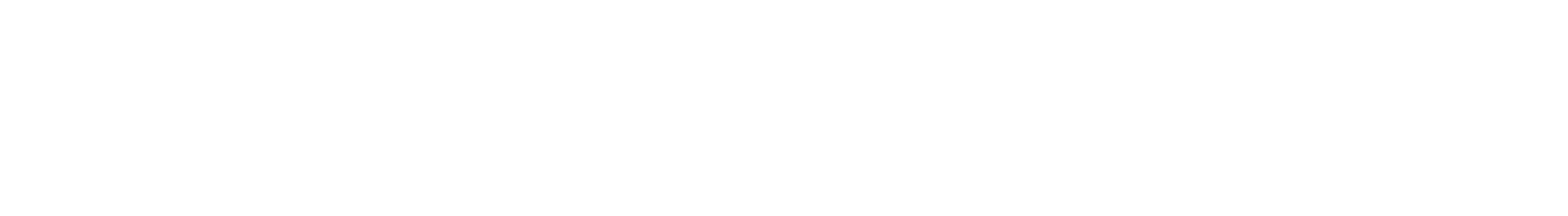 The Promise